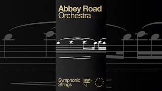 History of the Ring - Mock Up from Lord of the Rings
History of the Ring - Howard Shore from The Lord of the Rings.
Mock-up using Abbey Road Orchestra Symphonic Strings by Spitfire Audio.
https://www.spitfireaudio.com/abbey-road-orchestra-1st-violins-professional History of the Ring - Mock Up from Lord of the Rings