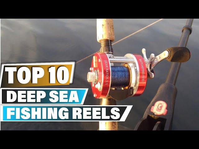 10 Best Deep Sea Fishing Reels In 2022 [Reviews And Buying Guide]
