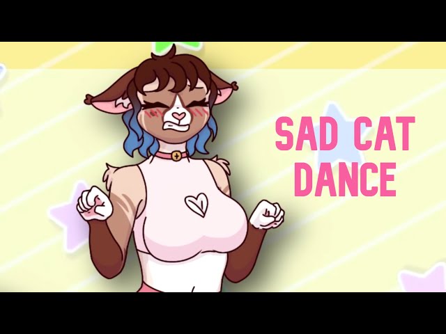 Fluttershy's sad cat dance meme🐱🦋, Sad Cat Dance