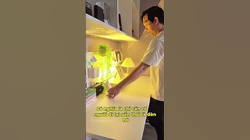 Đèn LED cảm ứng thông minh DODUPO tự sáng khi có người , 3 màu sáng tích điện trang trí