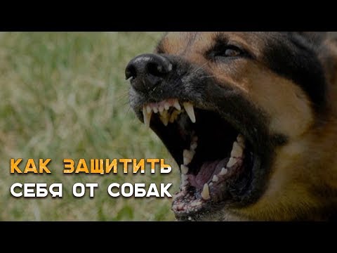 Вопрос: Как обезопасить себя на ферме?