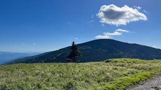 The Most Beautiful Spot on The Appalachian Trail Roan Mountain
