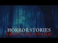 15 strange  disturbing stories from the woods