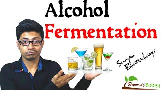 Alcohol fermentation