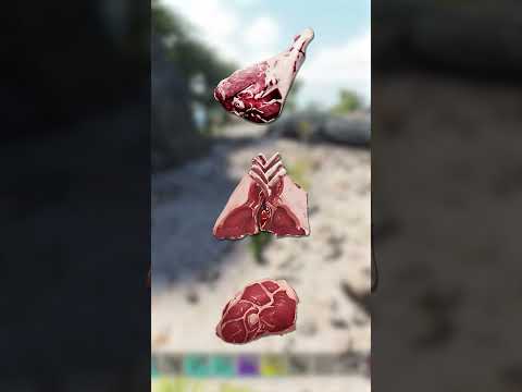    كيف تروض التمساح الجديد  