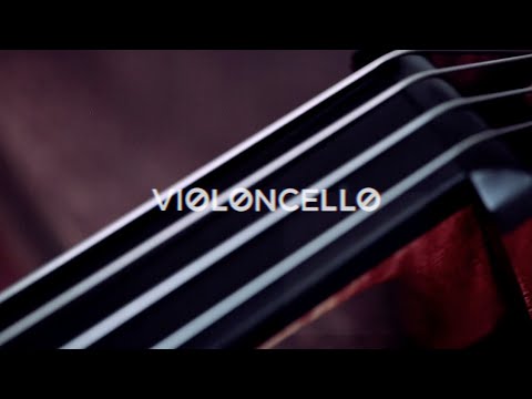 Resonancias, la armonía del sonido: Violoncello