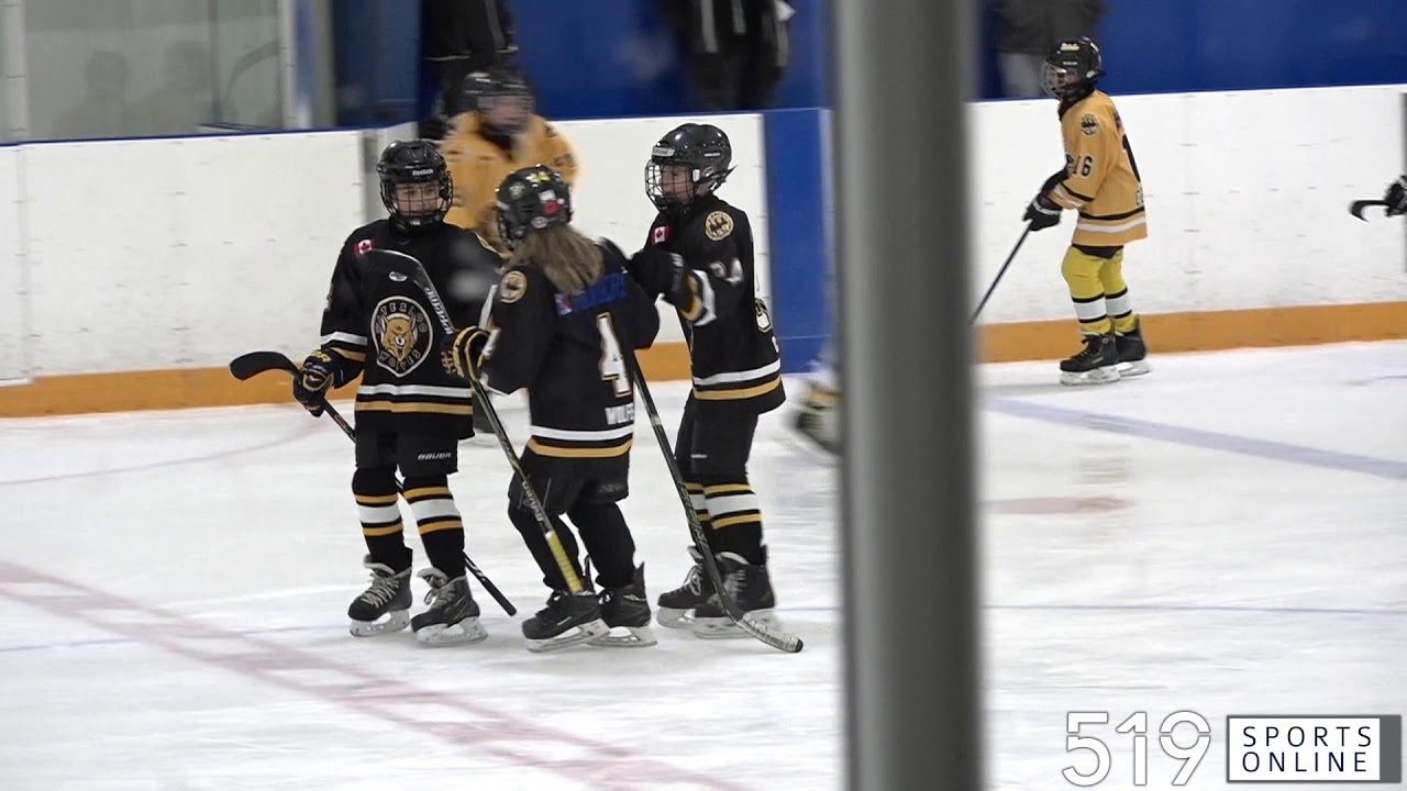 Waterloo Minor Hockey Major Atom Houseleague Wild Wolves Vs