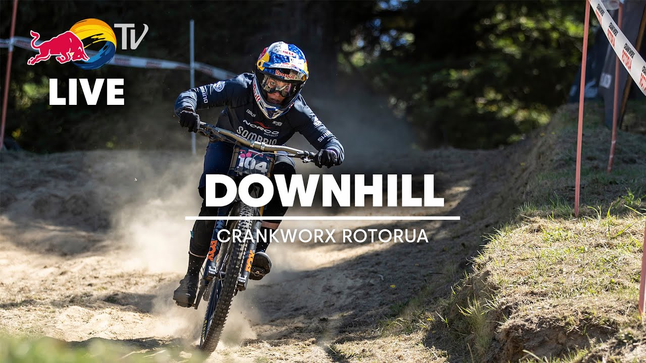 Downhill Mountain Bike