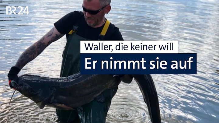 Ein Weiher für die Waller | Abendschau | BR24