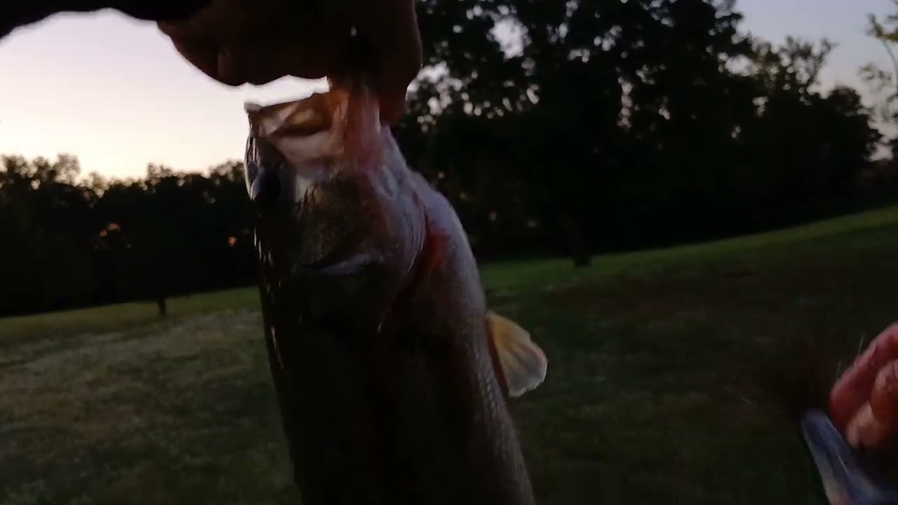 Fishing for big bass!!!