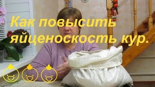 Как повысить яйценоскость кур.| Increasing Egg Production.(Еще одна подкормка для кур, повышающая яйценоскость. Из пшеницы. Проращиваем пшеницу в мешке. Еще один..., 2015-11-26T21:50:35.000Z)