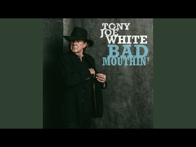 Tony Joe White - Heartbreak Hotel