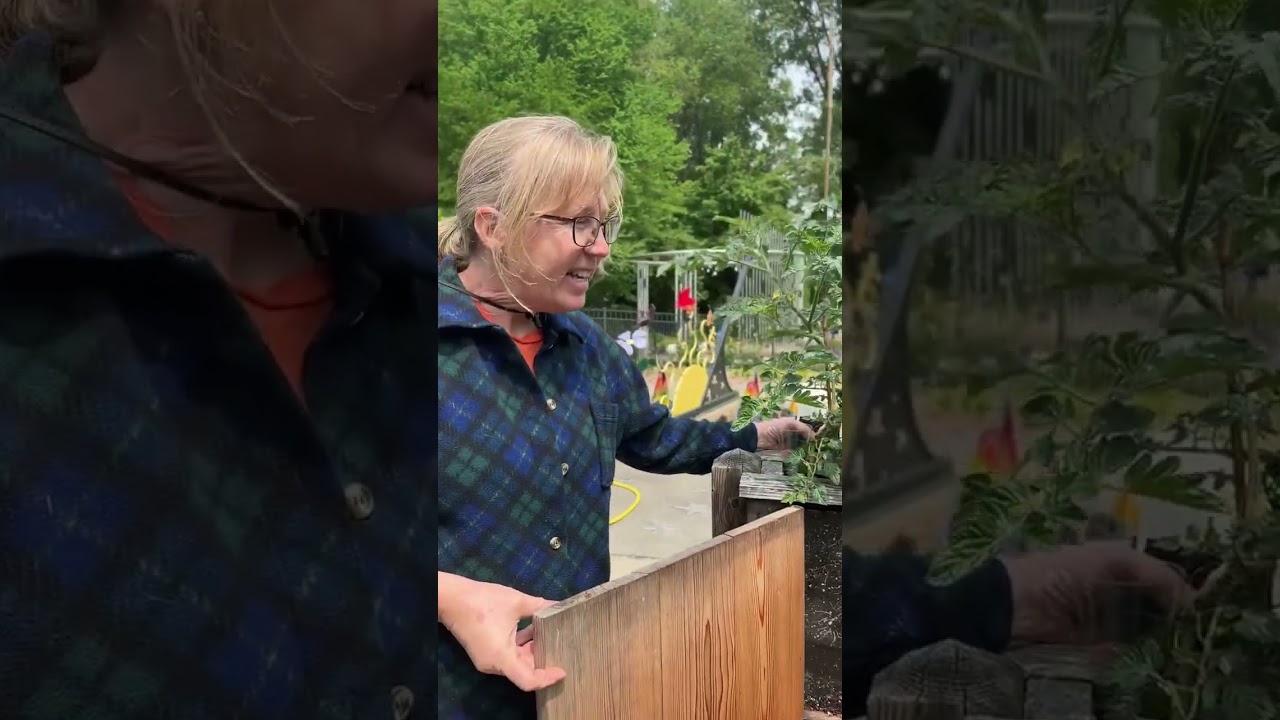 Bell Children's Garden: Ketchup 'n' Fries Display