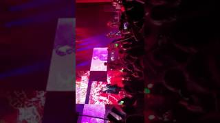 20170424 BAP - Young, Wild and Free