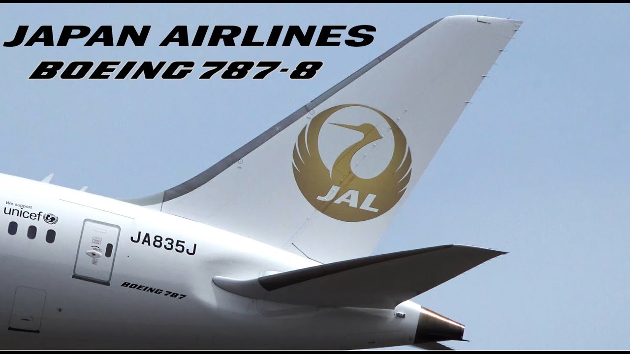 金の鶴丸 JAL Boeing 787-8 Golden Tsurumaru Livery JA835J Takeoff from NRT 34R -  YouTube