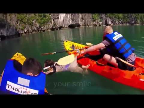 პრიკოლი