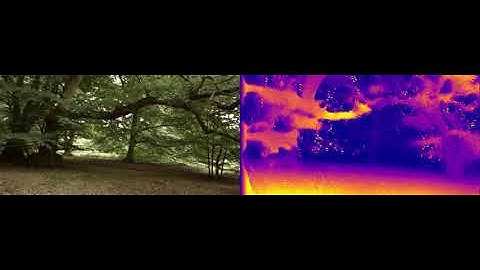 Depth Prediction - Epping Forest (Fine-tune)