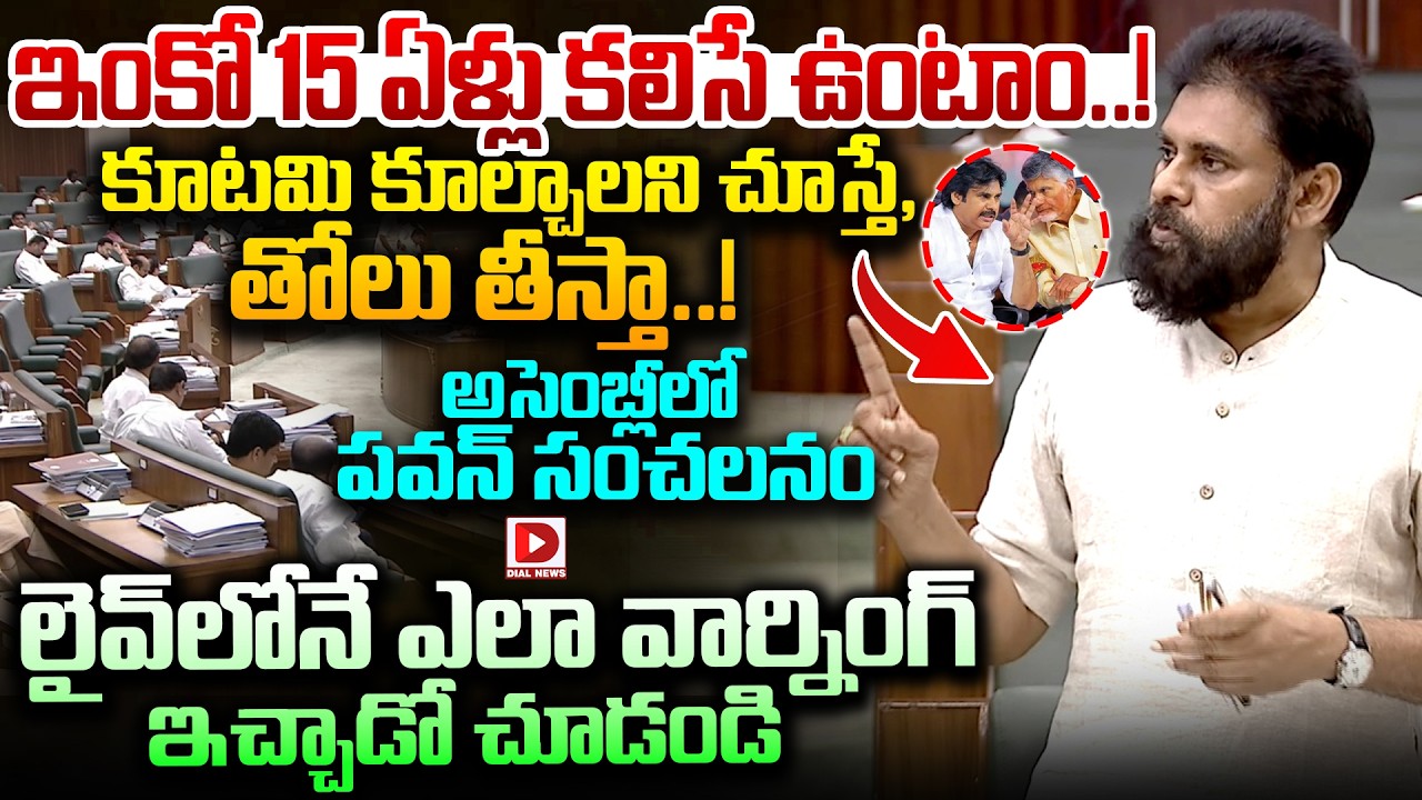 కూటమి కూల్చాలని చూస్తే, తోలు తీస్తా.! Pawan Kalyan Open Warning to TDP and Janasena MLAs in Assembly