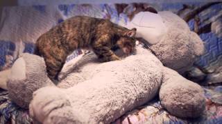 Мягкий будильник screenshot 5