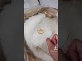 DESICCATED COCONUT POWDER - HIGH FAT