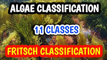 Classification of algae / Fritsch classification / 11 classes