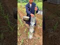 Make a fertilizer applicator from waste bottles 🌱#satisfying #farming #diytools