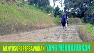 Musik Sunda Petani di Sawah