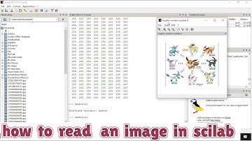 How to read an image in scilab | How to show an image in scilab