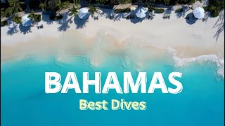 BAHAMAS BEST DIVE SITES  Nassau