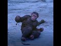 That Moment He Saved All Tribe War For The Planet Of The Apes 2017 Shortsstory 