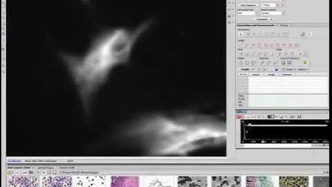 Installing a Photometrics Camera in NIS Elements