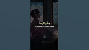 تلاوة خاشعة | (هو الذي أنزل السكينة في قلوب المؤمنين) | عبد الرحمن مسعد