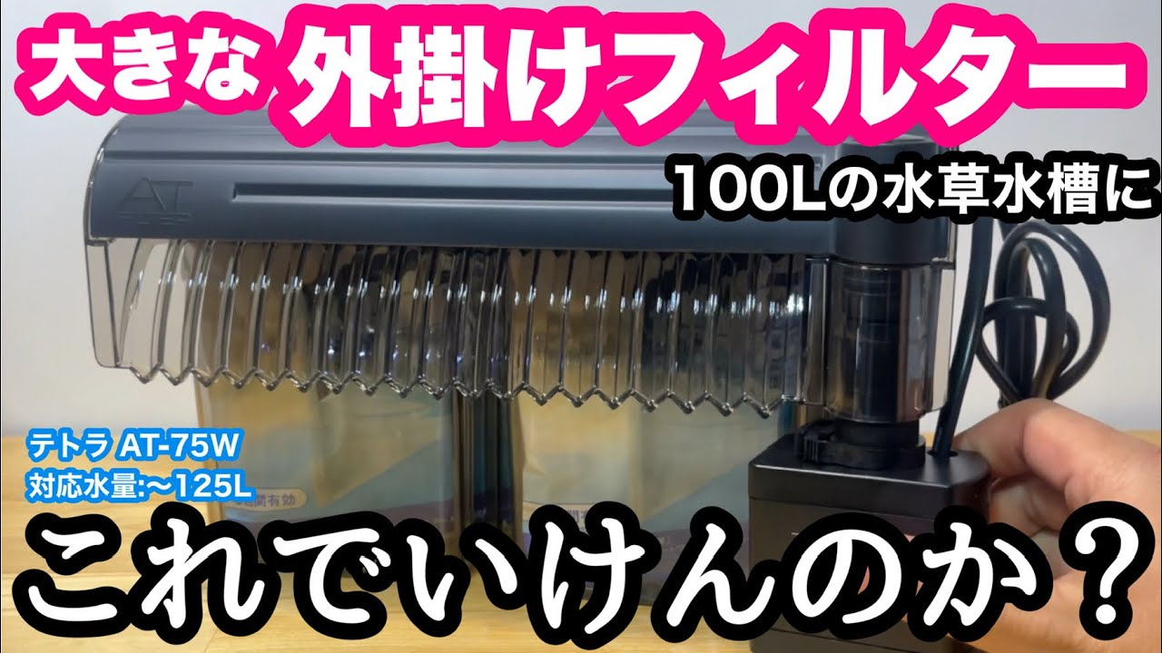 安価な器具で100L水草水槽作る【デカい外掛けフィルター】で立ち上げ　第3話