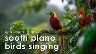 Piano and Bird Sounds ️🎹🐦Calm Music for Inner Calm, Relief Stress, Heal Mind & Soul