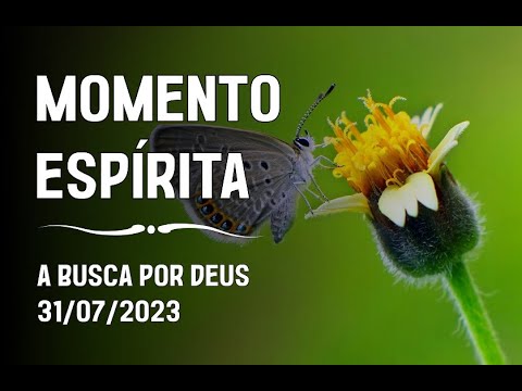 Momento Espírita - A Busca Por Deus