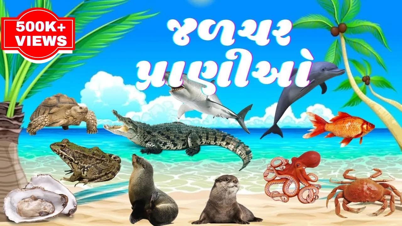  Water Animals Name In Gujarati And 
