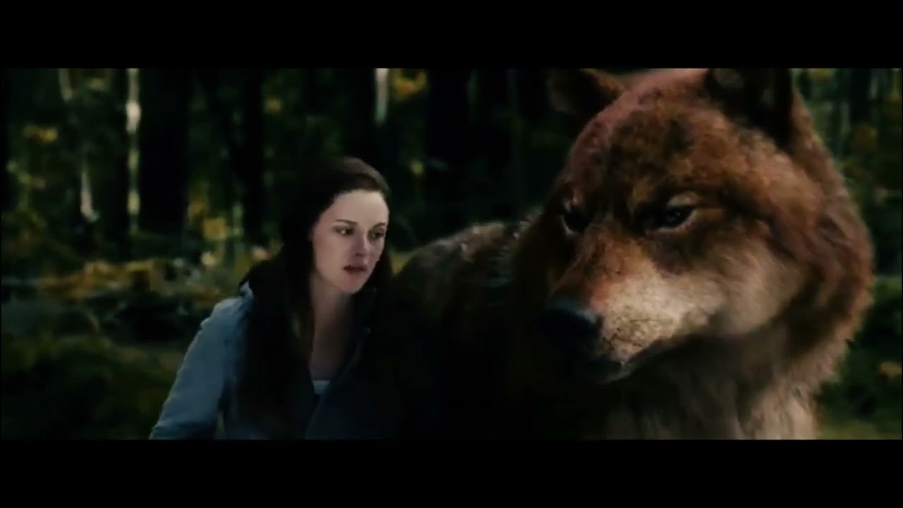 Twilight wolves - wonderland