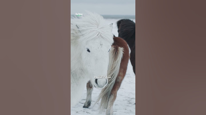 أسعد أربع دول في العالم
