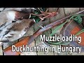 Muzzleloading duck hunting in Hungary
