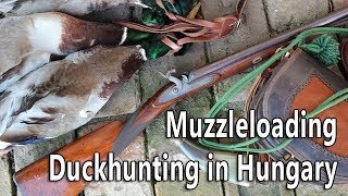 Muzzleloading duck hunting in Hungary