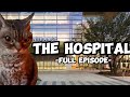 Cat memes the hospital compilation extra scenes