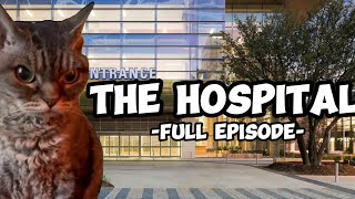 CAT MEMES: THE HOSPITAL COMPILATION +EXTRA SCENES