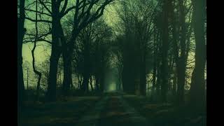 echo complex w singular balance .🍂✨️🎧💚🩶