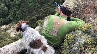 Sika Hunt - Otutu Hut, Kaweka FP, New Zealand