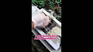 Mezar Suluklarının İnanılmaz Değişimleri S1B1 ( Relaxing Cleaning ) 