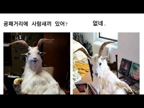 지친 한주의 마무리..쉬었다 가세여^^ 신청곡 가능 업계 최고대우