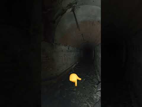 تلفات عليا لبوابة ساعة ونا تحت الأرض في سجن سري يعود لفترة الإستعمار الفرنسي وسط غابة Video
