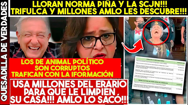 AMLO PONE A LLORAR A NORMA PIA! MILLONES DEL ERARI...