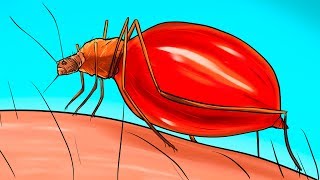 Qué le sucede a tu cuerpo cuando un mosquito te pica
