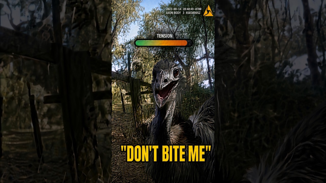 Florida Cop Arrests an Emu 😂 “Don’t Look at Me That Way” 💀